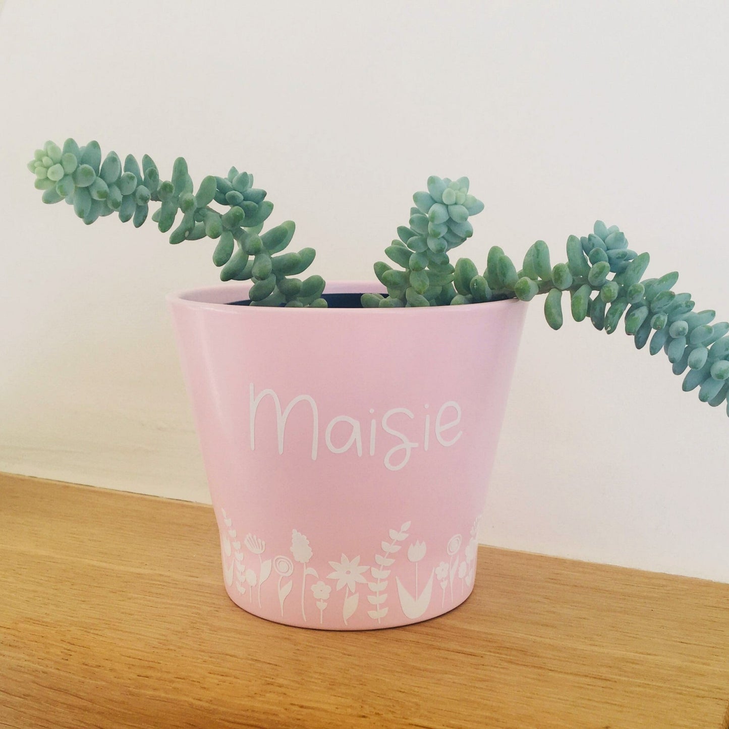 Plant pot