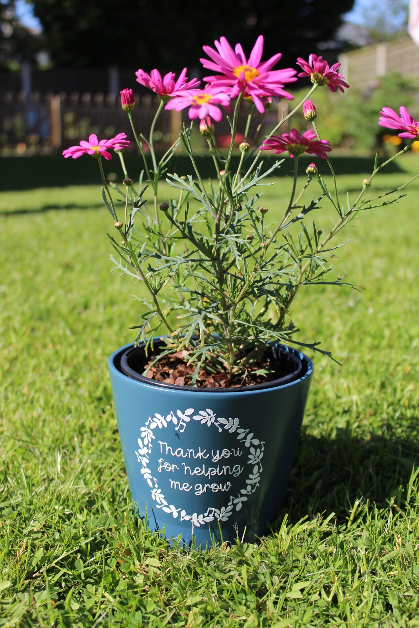 Plant pot