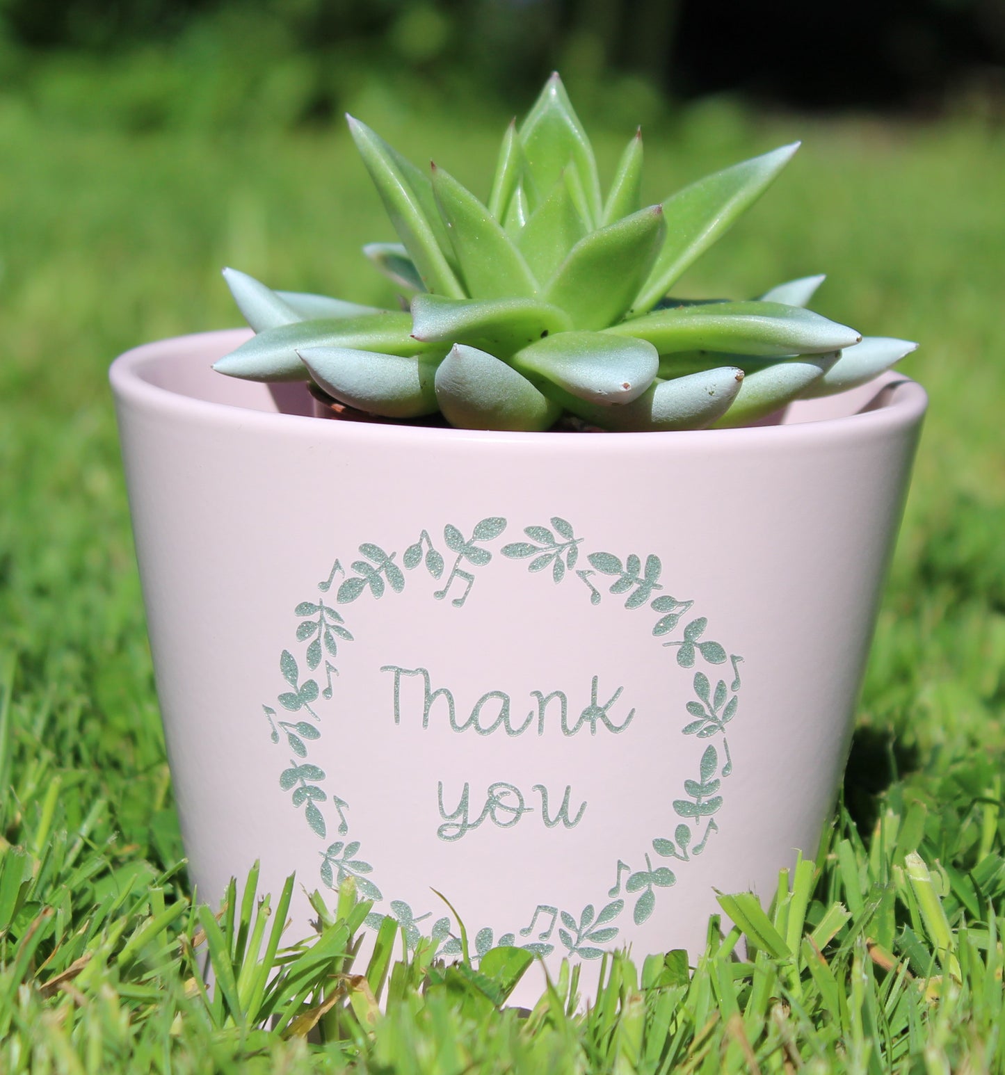 Thank You plant pot (small)