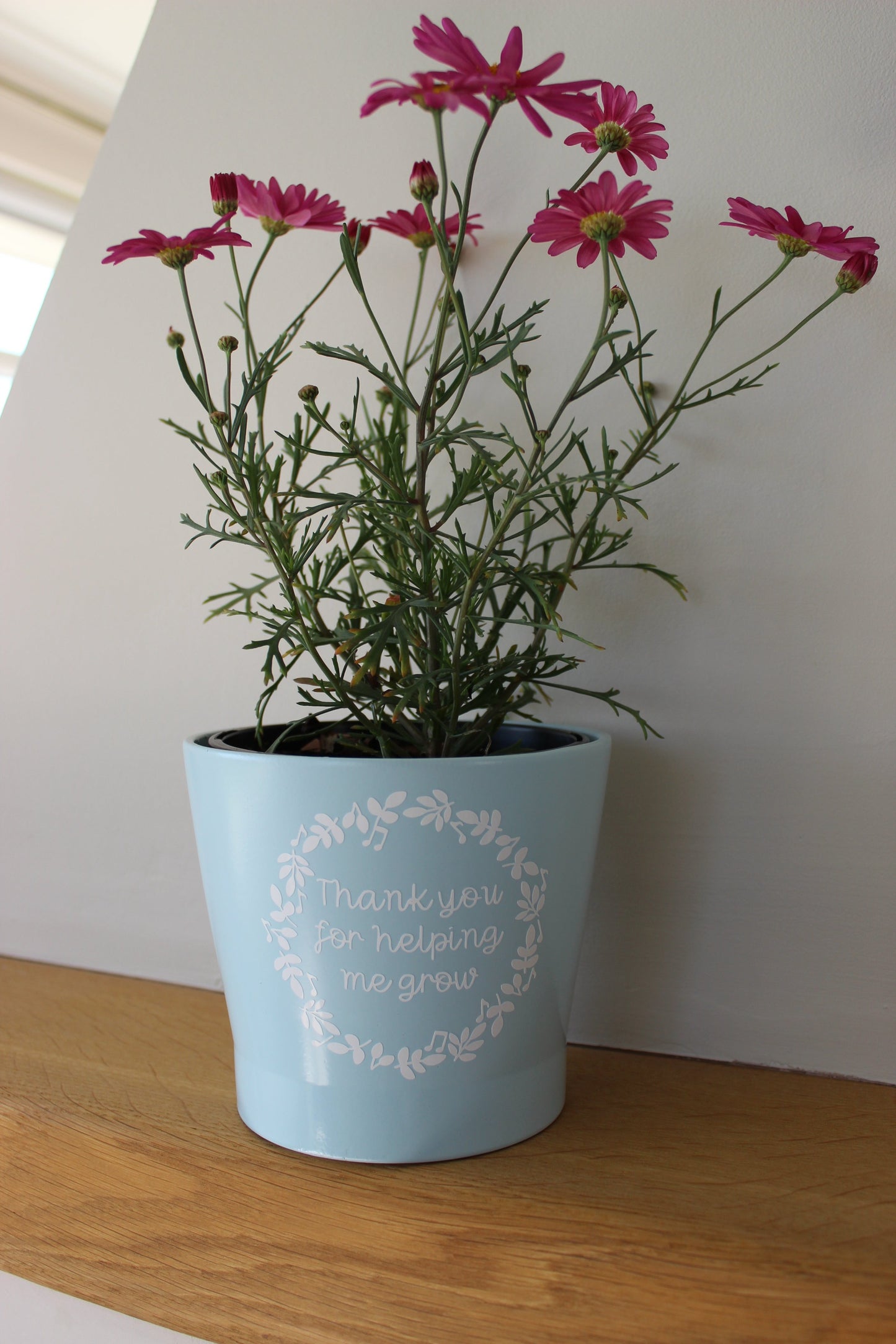 Plant pot