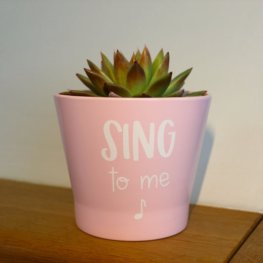 Plant pot (various designs)