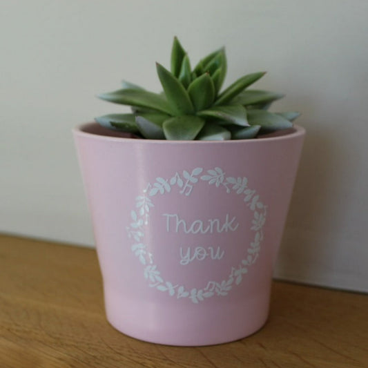 Thank You plant pot (small)